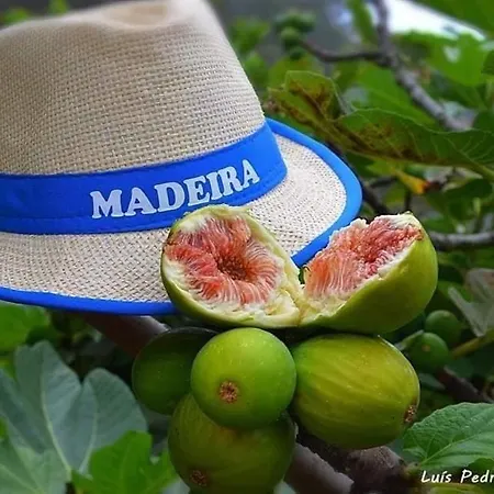 Villa Atlantic Charm