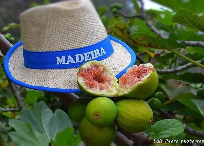 Villa Atlantic Charm